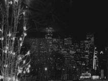 SampleImage