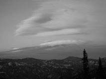 SampleImage